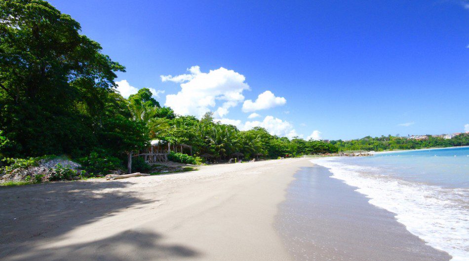 Caribbean Photo of the Week: Rio Nuevo Beach, Jamaica