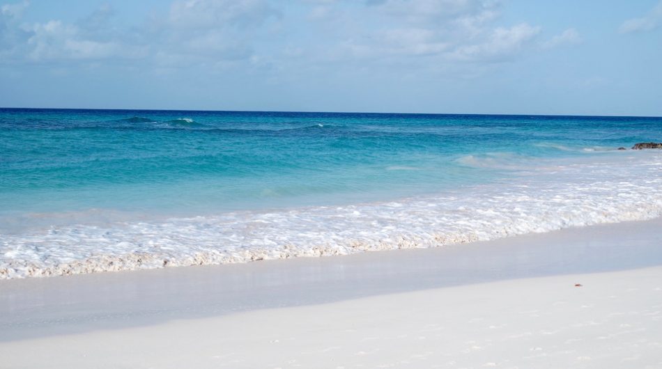 VIDEO: Dover Beach, Barbados