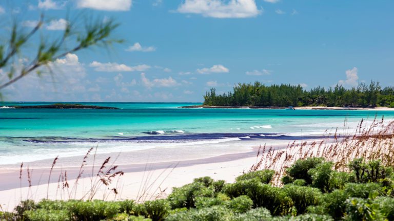 The 10 Best Pink Sand Beaches In The Caribbean Caribbean Journal