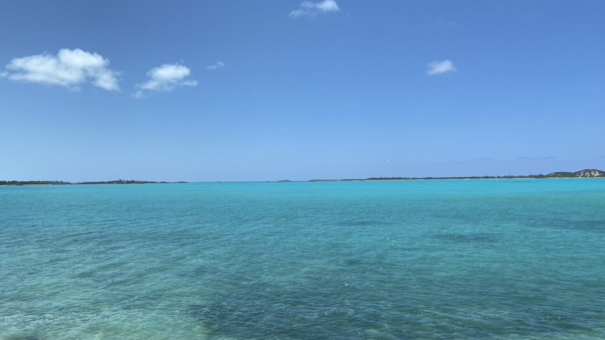 A Great Little Beach Shack in The Bahamas Caribbean Journal