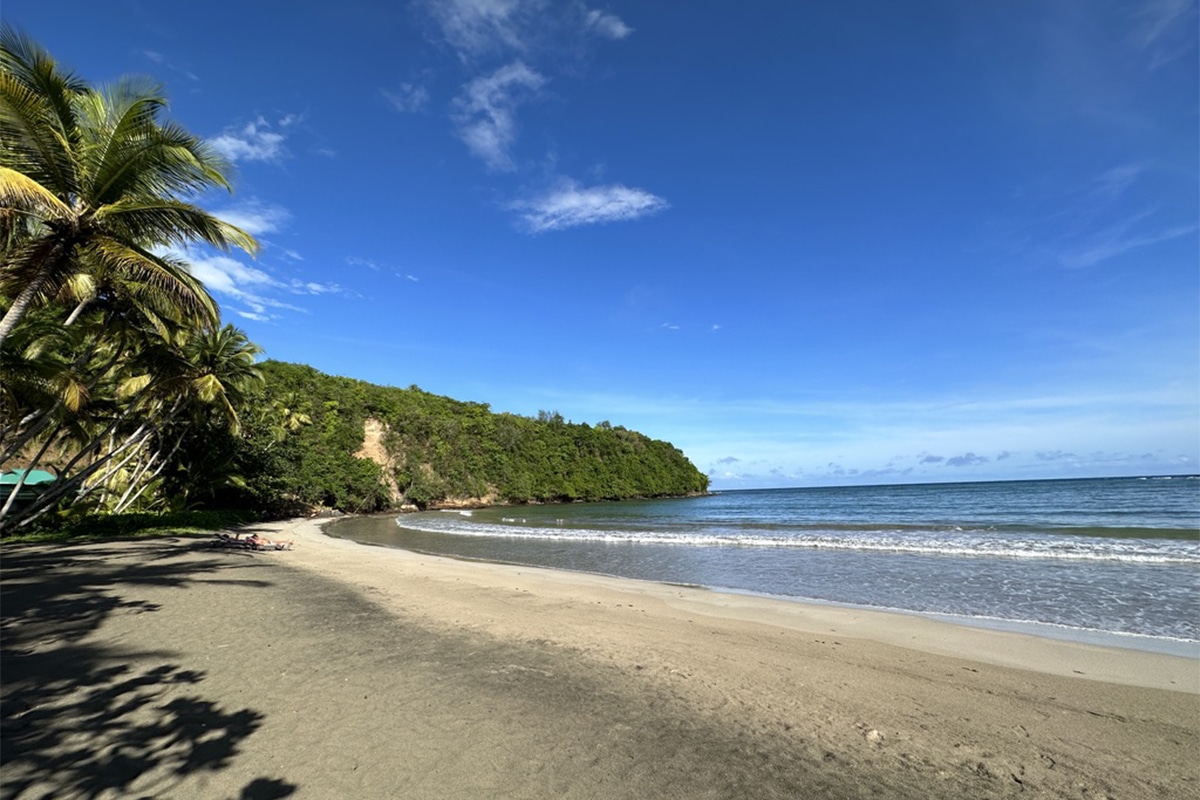 In Grenada, a Secret Caribbean Beach