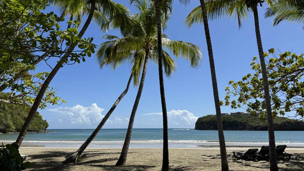 grenada la sagesse