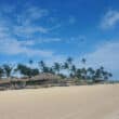 punta cana beach with palm trees