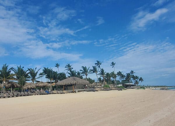 punta cana beach with palm trees