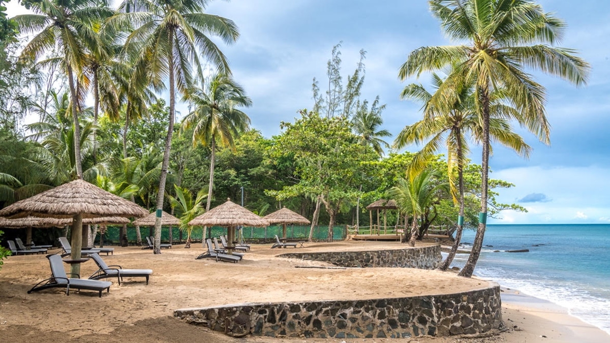 Saint Lucia resort with beach and palm trees