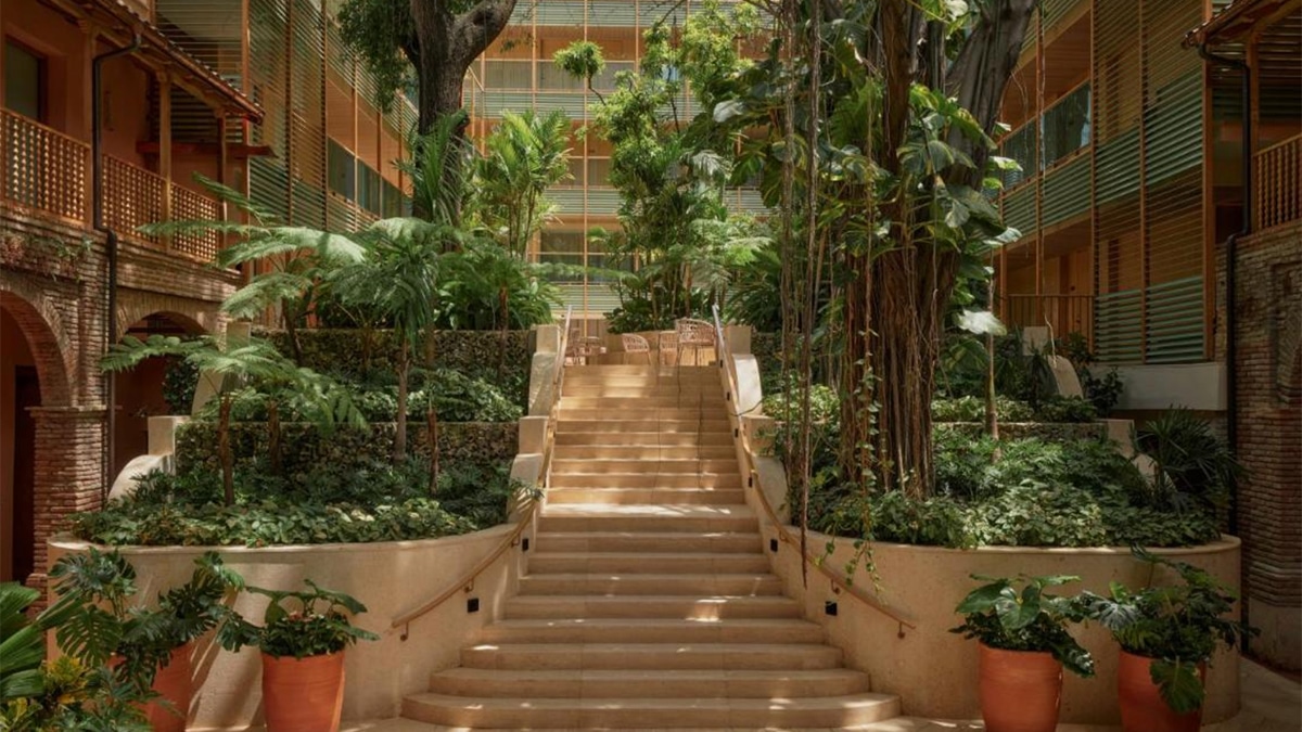 courtyard with steps and plants