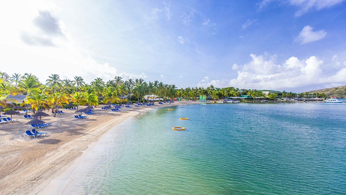 beach with blue water and palm trees