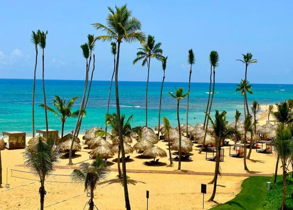 palm trees on golden sand beach in punta cana