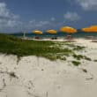 nude beach yellow umbrellas