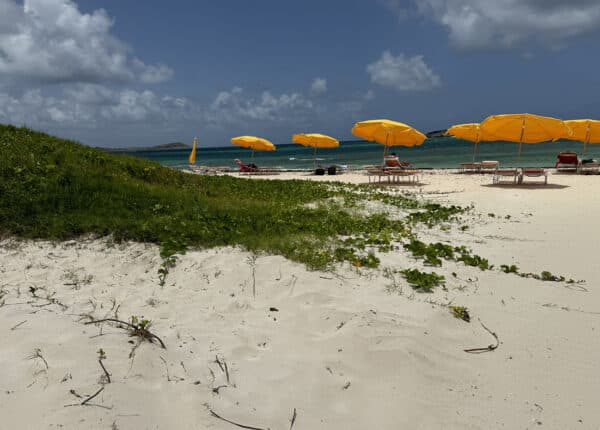 nude beach yellow umbrellas