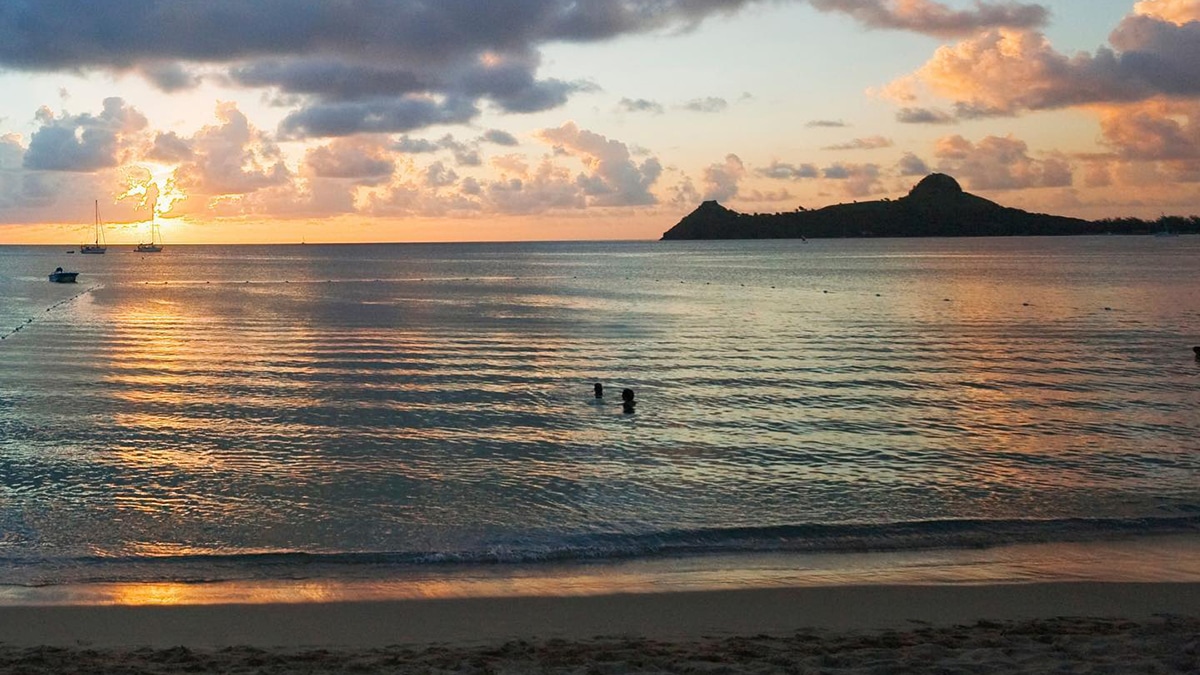 bay gardens saint lucia