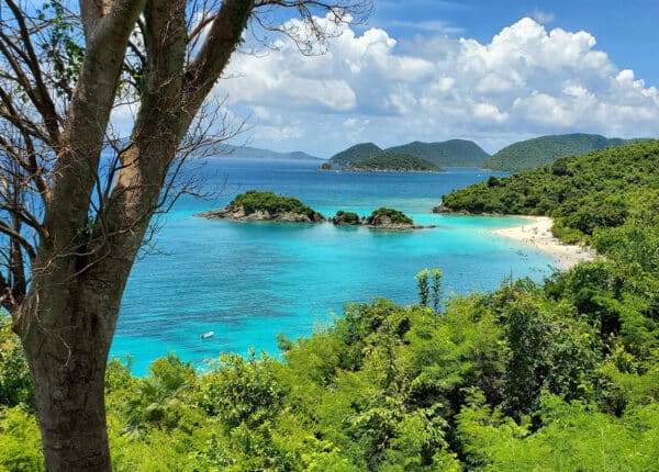 st john trunk bay