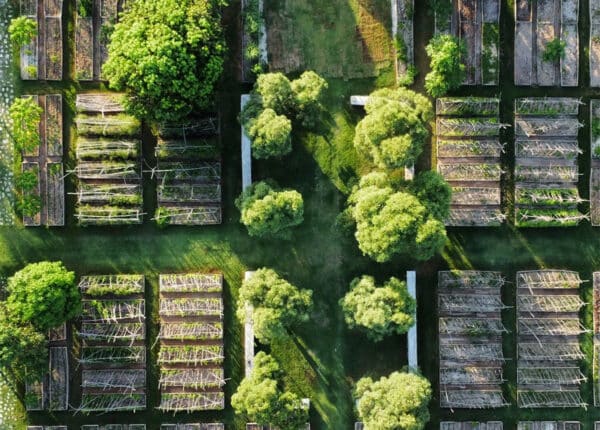 solar eleuthera farm