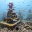 underwater pillar covered in seaweed