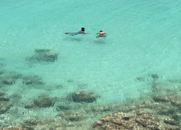 snorkeling in the caribbean