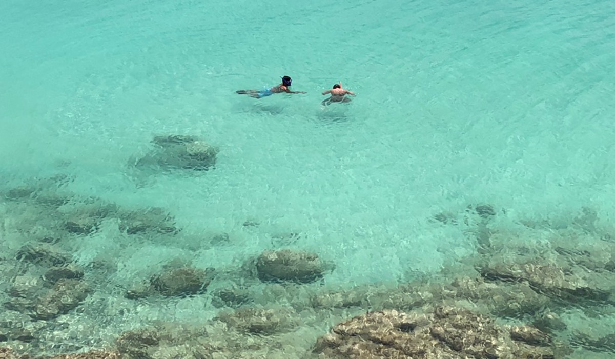 snorkeling in the caribbean