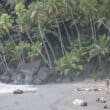 beach in st vincent