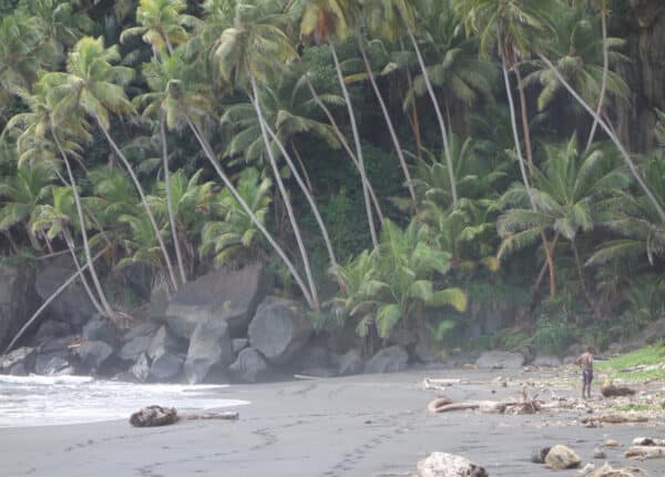 beach in st vincent