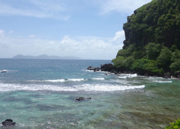 young island off the coast of st vincent