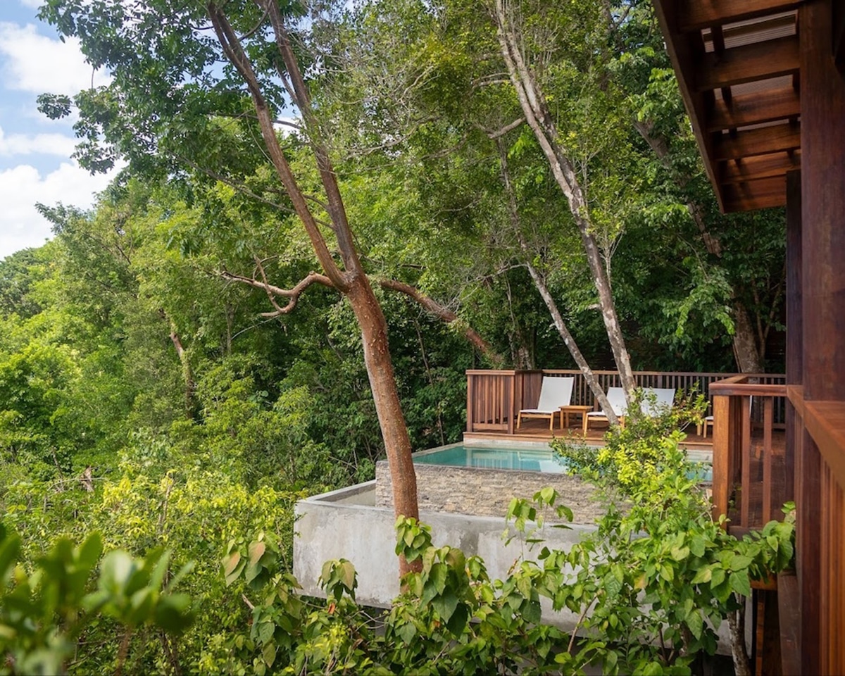 dominica pool treehouse