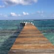 little cayman flights