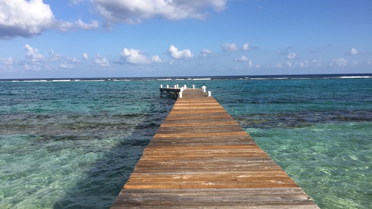 little cayman flights