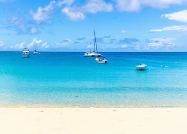 saint lucia bay gardens