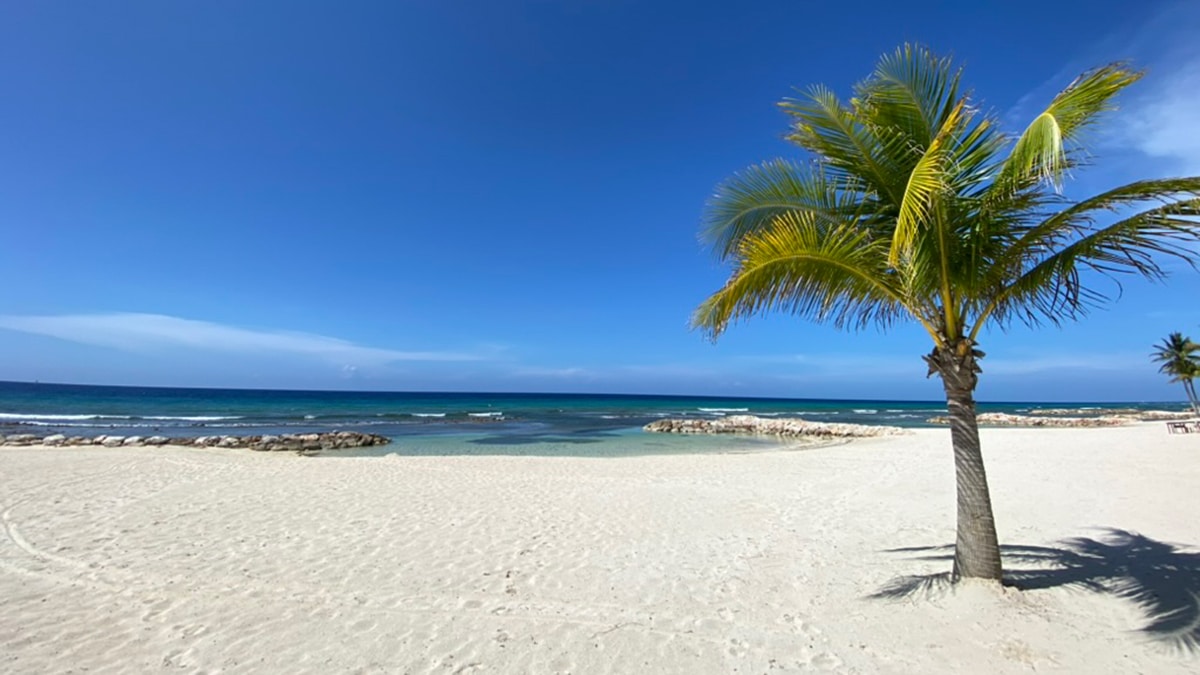 caribbean airlines montego bay