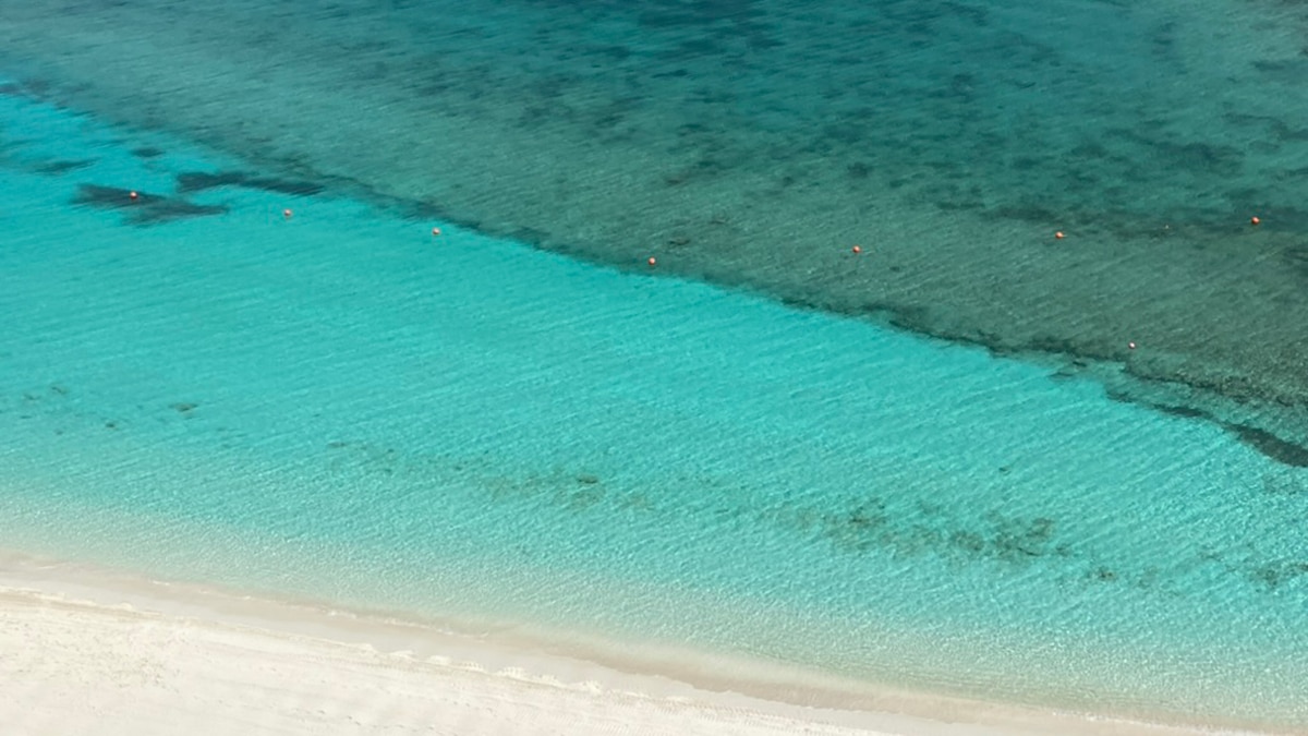 beach on paradise island