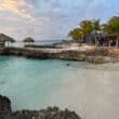 caribbean island bonaire delfins