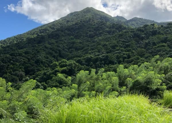 kitts volcano