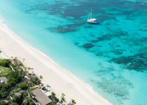 barbuda on the beach